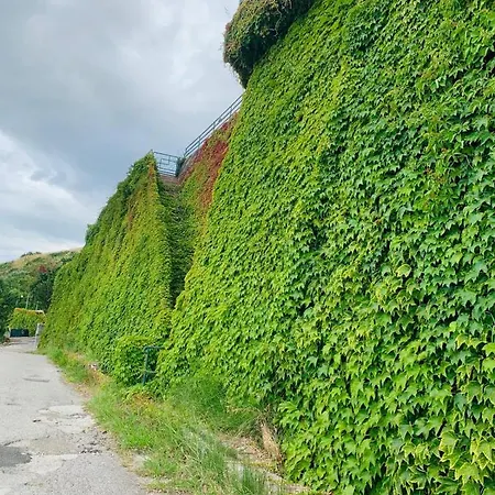 E Panoramic *