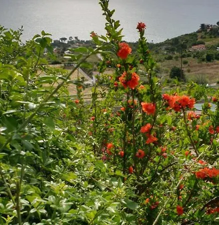 Apartmanhotel E Panoramic Agropoli