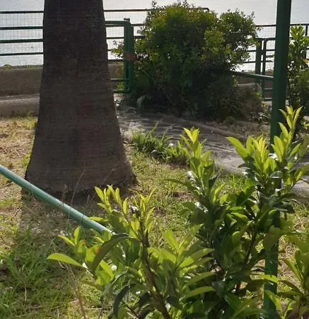 E Panoramic
